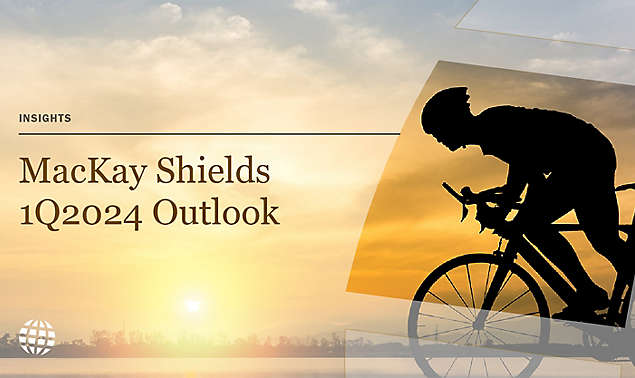 Specialty Fixed Income Outlooks