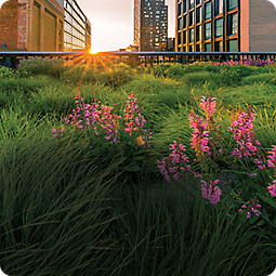 ESG Investing