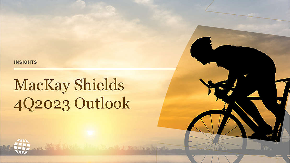 Specialty Fixed Income Outlooks