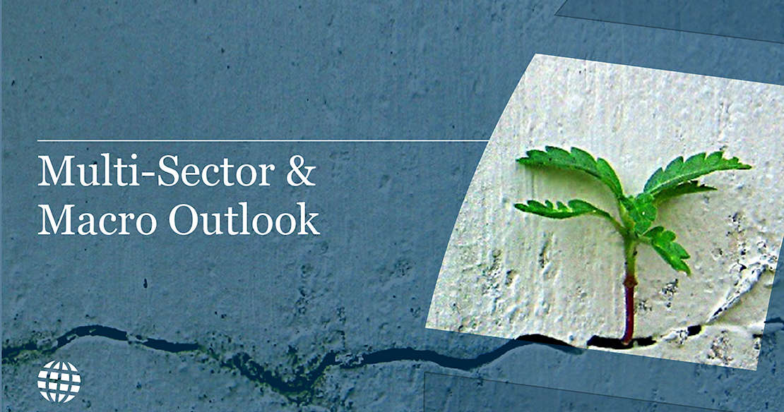 multi-sector and macro 4Q24 Outlook Card