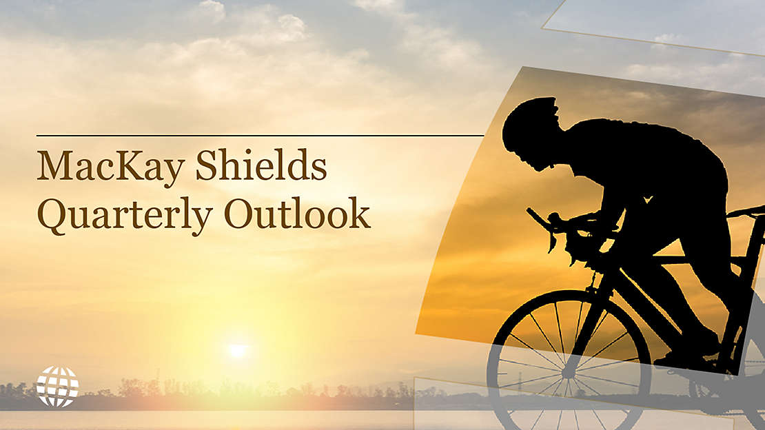 Specialty Fixed Income Outlooks