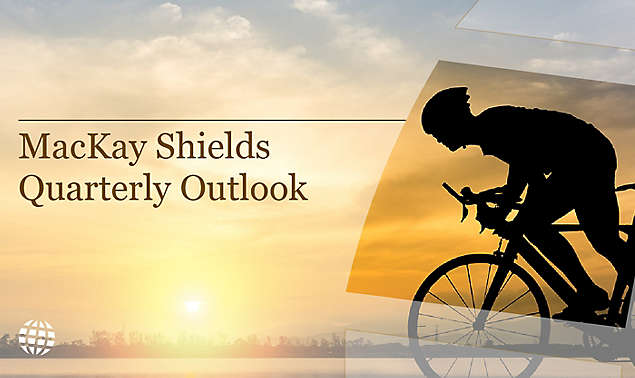 Specialty Fixed Income Outlooks