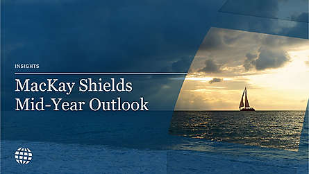 Specialty Fixed Income Outlooks