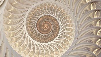 Abstract fractal spiral shell