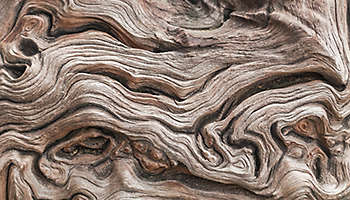 Aged wooden texture abstract background