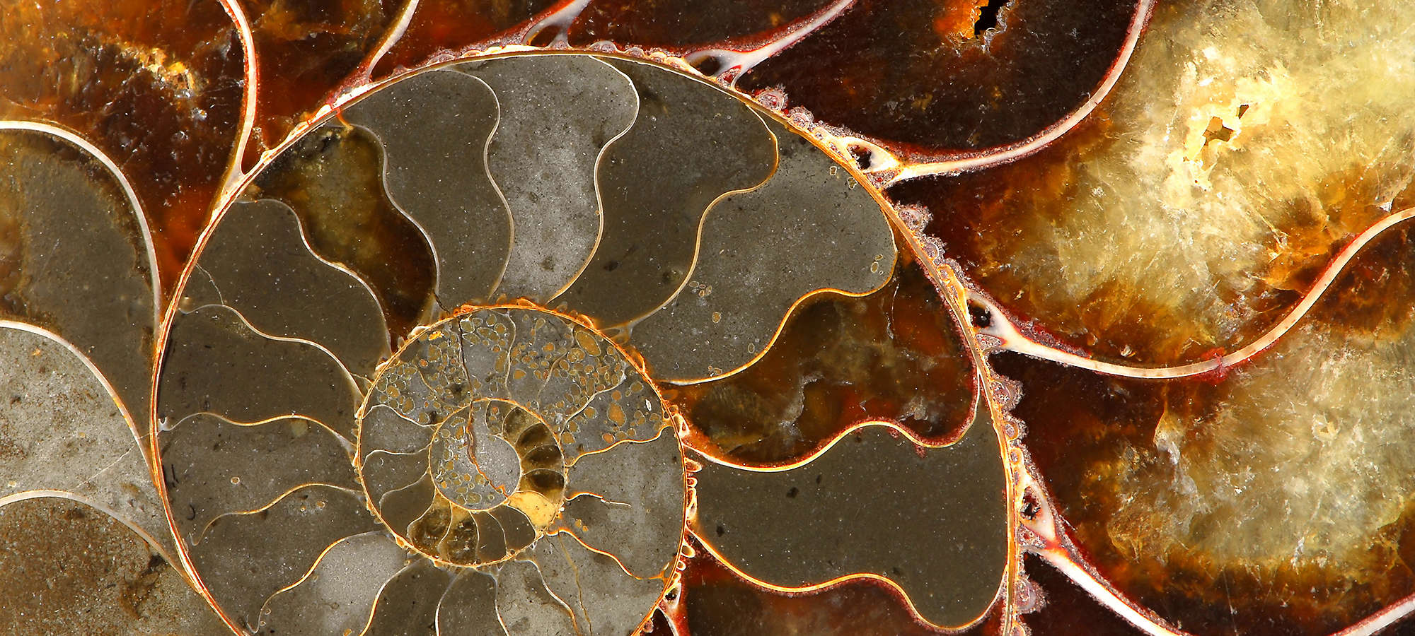 Macro image of rocky mountains gemstone ammolite