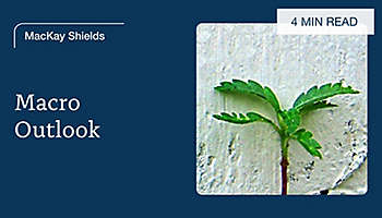 Macroeconomic 4Q 2025 Outlook