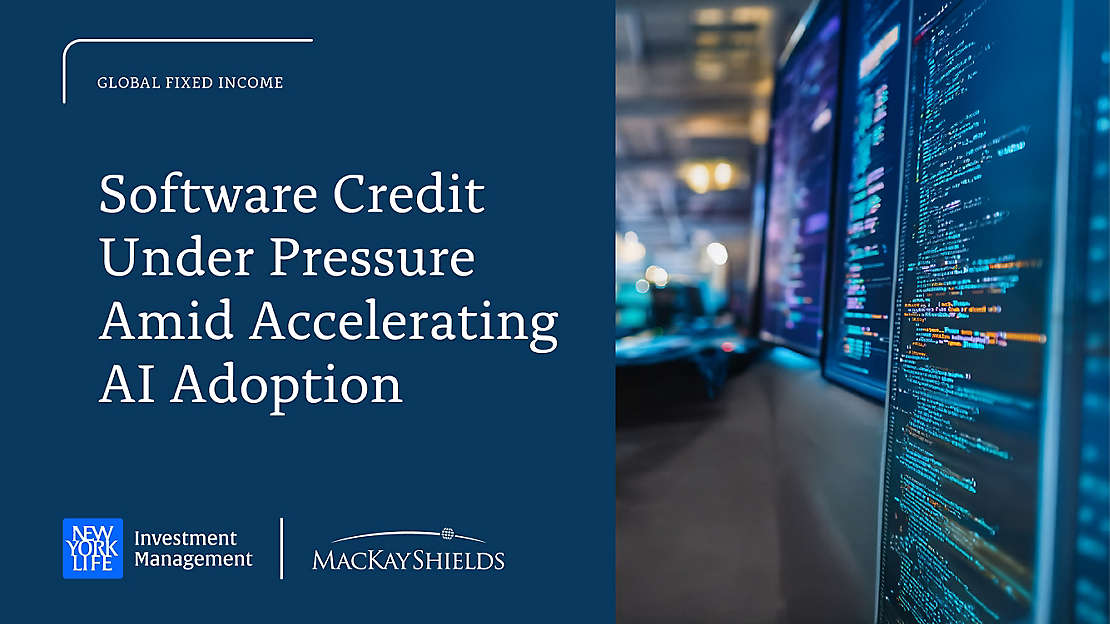Software Credit Under AI Adoption Pressure Amid Accelerating