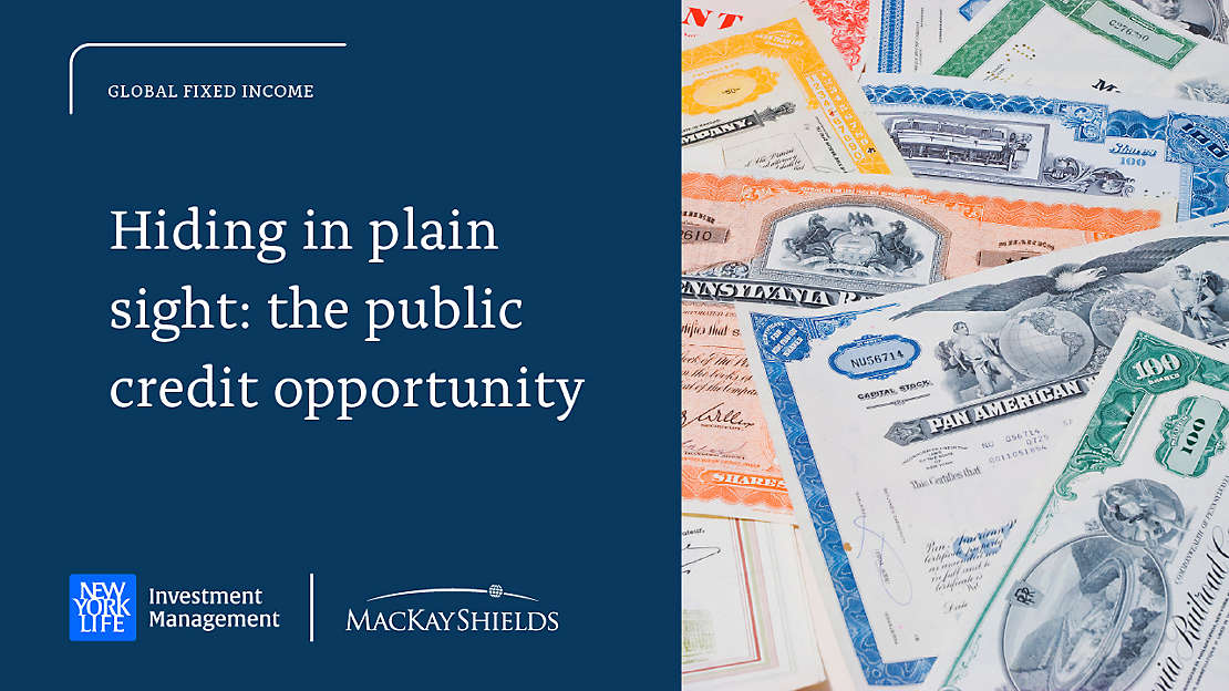 Hiding in Plain Sight: The Public Credit Opportunity