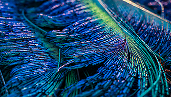 Infographic: What History Reveals About Interest Rate