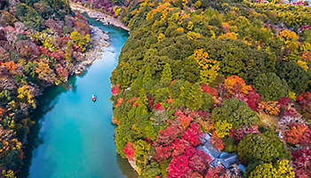 Aerial boat river autumn Kyoto