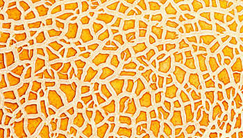 Infographic: The Record $6 Trillion in Cash on the Sidelines