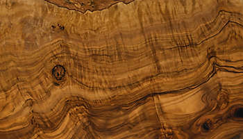 Texture olive wood closeup