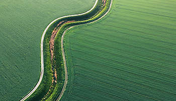 Warshing Out of Cash: Positioning Munis for the Next Curve Regime