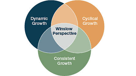 Screening Objectives with Emphasis on Risk Management