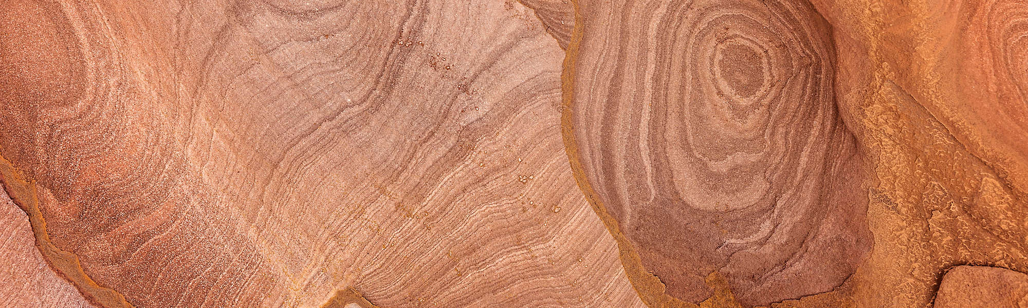 Sandstone closeup