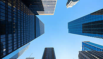 NYLI VP Portfolios Dividend Schedule 2025