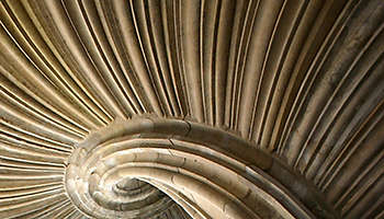 Infographic: 3 Factors Dragging Down the U.S. Dollar