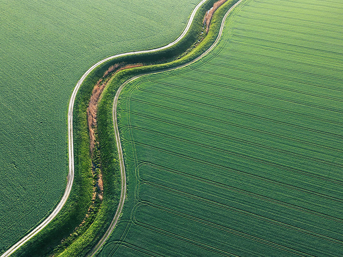Green Field