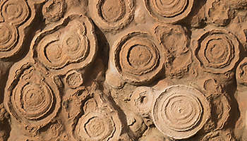 Infographic: Investing in an Era of an Aging Population