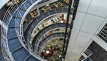 Infographic: Magnificent 7 Mania: Why Diversification Still Matters