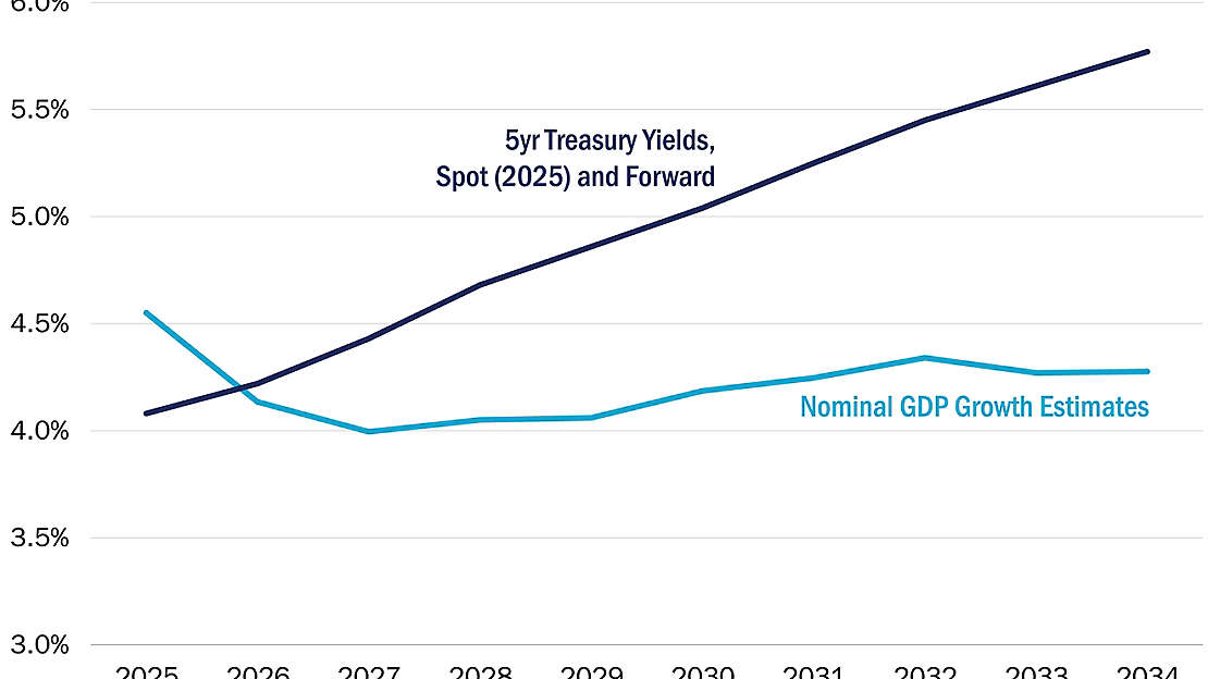 Government Fund Cost Proxy 