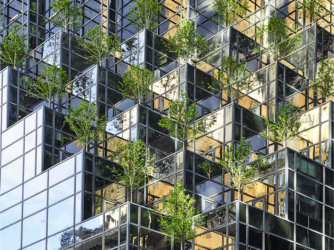 side of building with greenery
